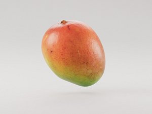 Mango fruit 3d model