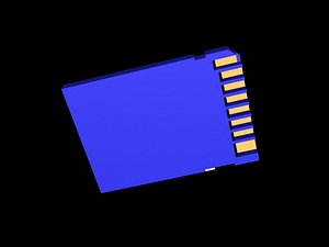 SD chip special version