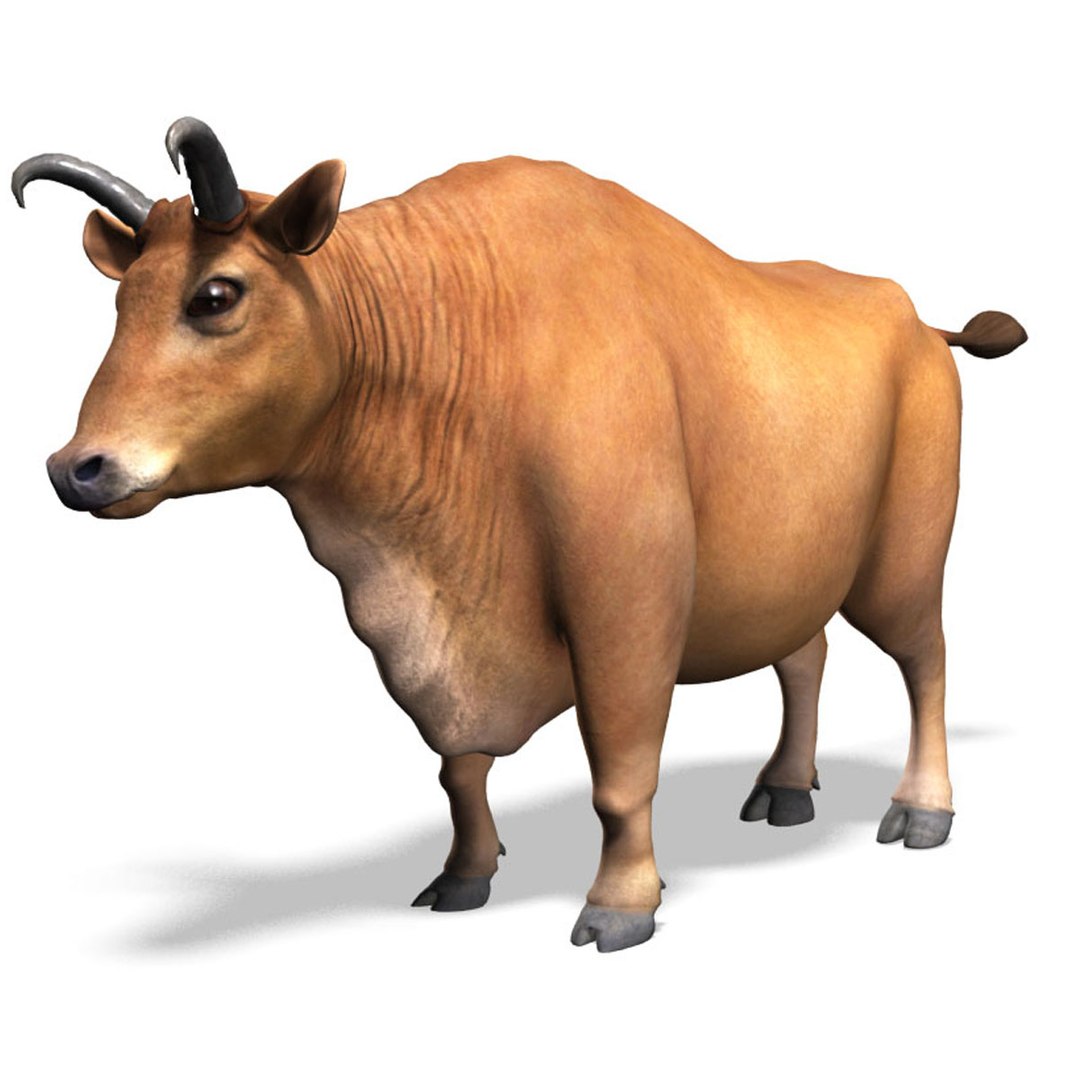 Bull 3D Model - TurboSquid 1235414