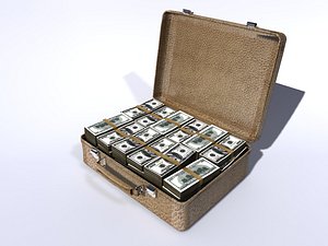 3d case money model