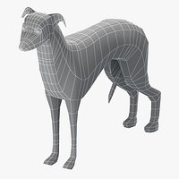 Greyhound Base Mesh