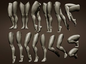 3D 15 female leg poses model