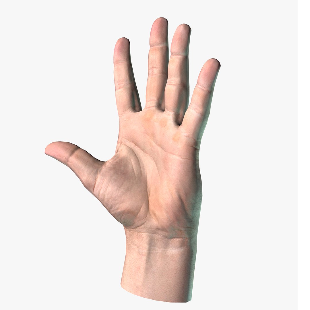 max vr safety worker https://p.turbosquid.com/ts-thumb/Hk/jbSD42/cwsua4zy/hands_01/jpg/1512477449/1920x1080/fit_q87/c5290d992a4615f642e6ab9c4268965359ad6d23/hands_01.jpg
