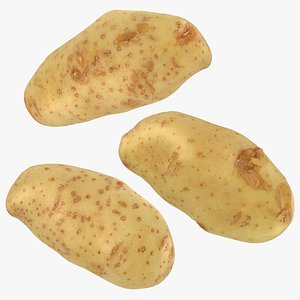 Potato Collection model