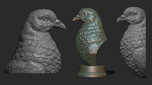 Pigeon bust 3D model