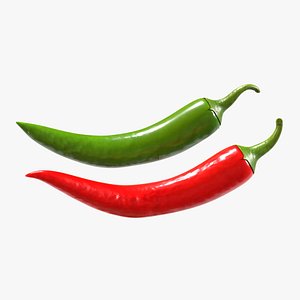 chili pepper 3D model