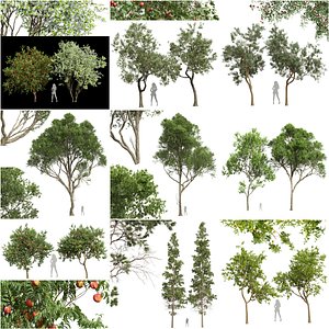 3D 9Different SETS of Tree Set Vol 40