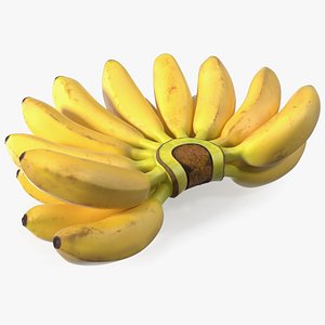Old Ripe Banana Bunch model