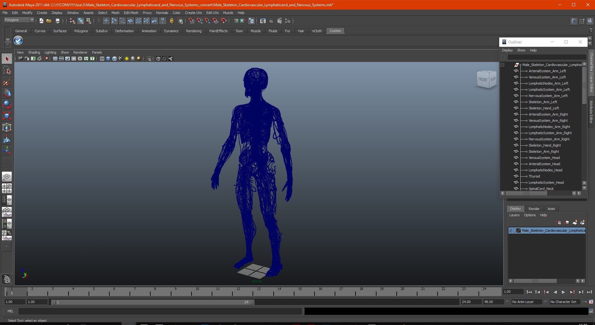 male skeleton cardiovascular lymphatic 3D model https://p.turbosquid.com/ts-thumb/Hl/7DeXcb/yMNJOiml/maleskeletoncardiovascularlymphaticandandnervoussystems3dmodel099/jpg/1572442972/1920x1080/fit_q87/9a655427d49a523a2d7ac721cbe5dd2d799769d6/maleskeletoncardiovascularlymphaticandandnervoussystems3dmodel099.jpg