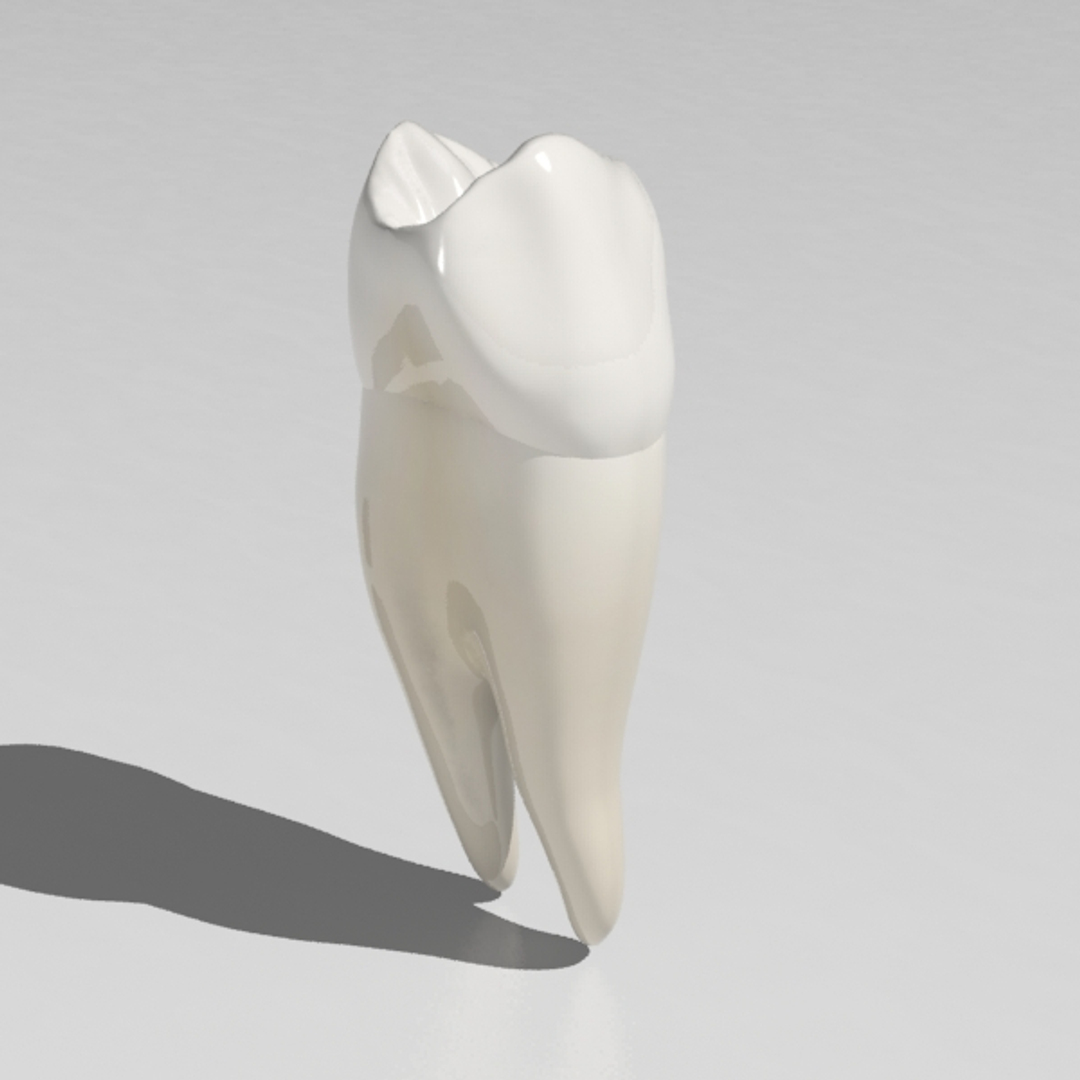 Max Premolar