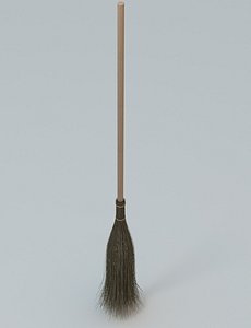 broom bristles 3d model
