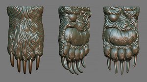 Furred Bear Paw