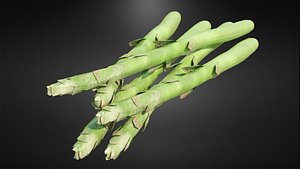 Asparagus 3D model