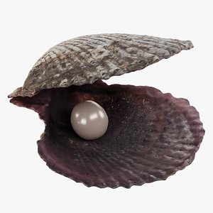 Pearl in Shell 2