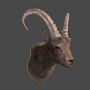 Goat Head