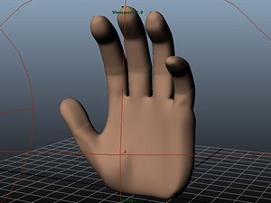 Human Hand