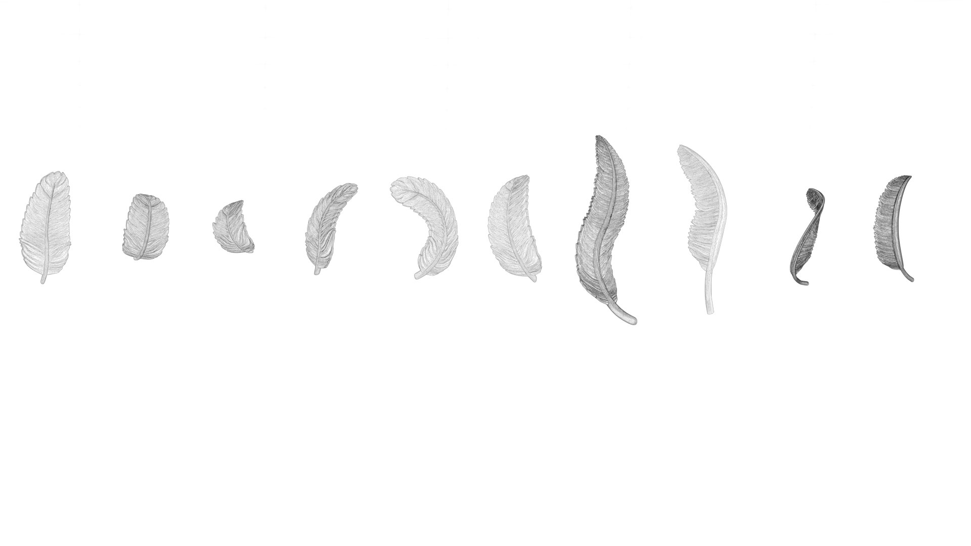 3D model 69 Feather Set https://p.turbosquid.com/ts-thumb/Hl/kSdmPz/2g/wf04/png/1675943159/1920x1080/fit_q87/f9e53b5c94f8c326d504d6dbf6356e85eec4319c/wf04.jpg