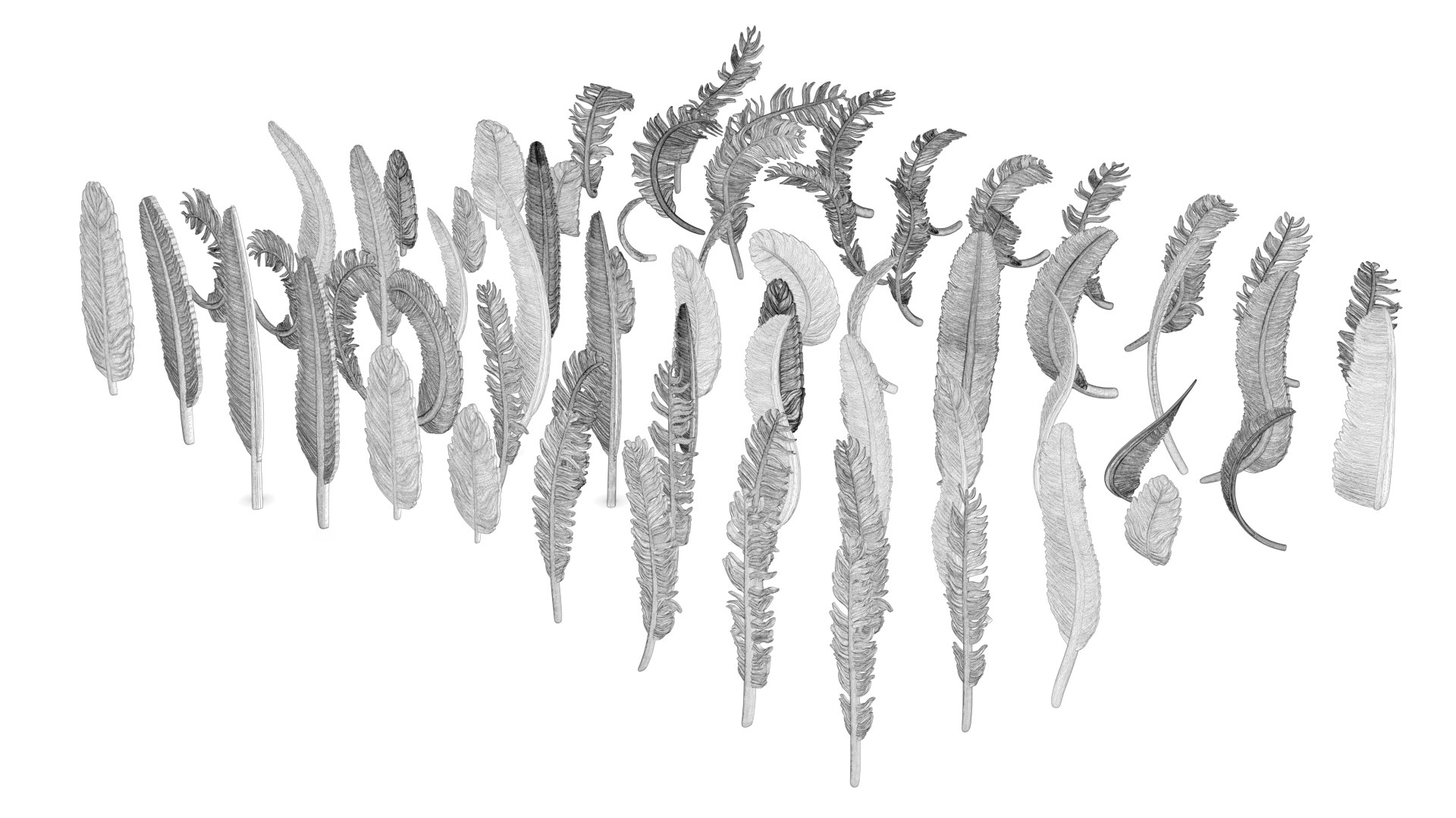 3D model 69 Feather Set https://p.turbosquid.com/ts-thumb/Hl/kSdmPz/6y/wf10/png/1675943161/1920x1080/fit_q87/39edaaaa2c560c8f675bc2e21d950857778fdbb4/wf10.jpg