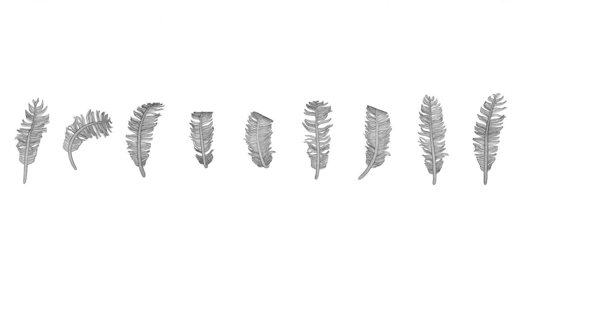 3D model 69 Feather Set https://p.turbosquid.com/ts-thumb/Hl/kSdmPz/RM/wf06/png/1675943160/1920x1080/fit_q87/3755a1f3520613d58424dab8e90964c34e29c7ae/wf06.jpg