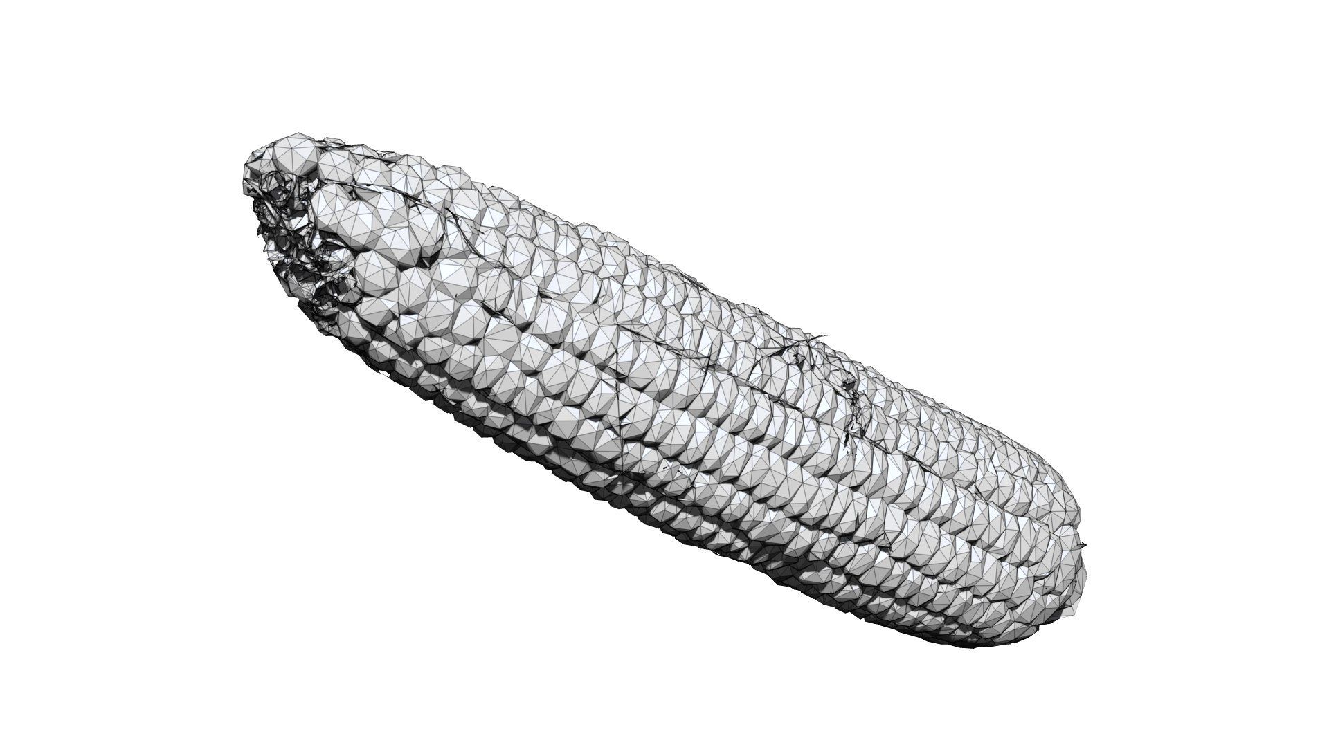 3D corn 3D CT scan model decimate 3 percent model https://p.turbosquid.com/ts-thumb/Hl/o31ybU/9V/1/png/1660795751/1920x1080/fit_q87/2d5d5bb386d3fdcd7082a77dad20f3782542972b/1.jpg