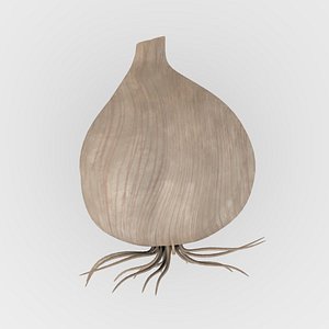 3d model garlic