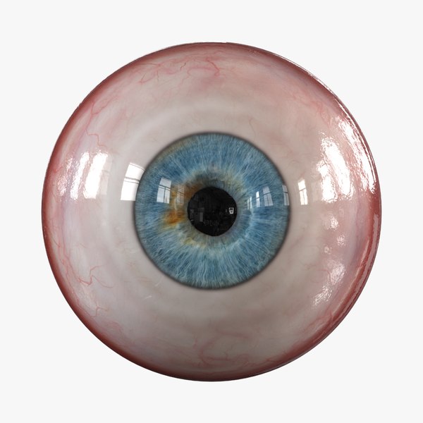 human eye realistic eyeball iris 3D model