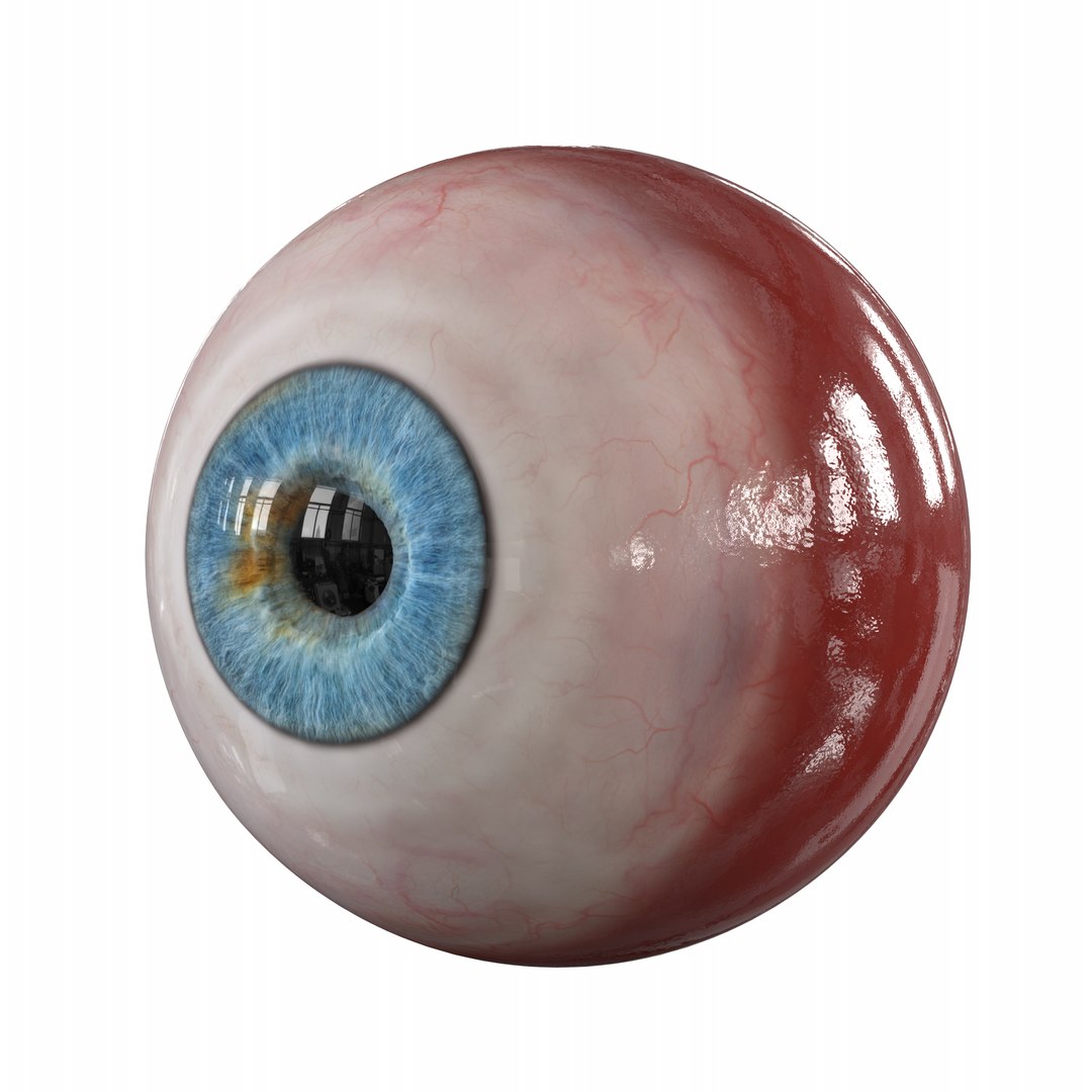 Human eye realistic eyeball iris 3D model - TurboSquid 1645996
