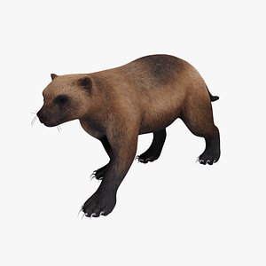 Wolverine animal
