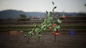 Growing Farm Plants  30 Assets 3D model