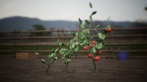 Growing Farm Plants 30 Assets