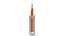 SLS Block 1 Rocket