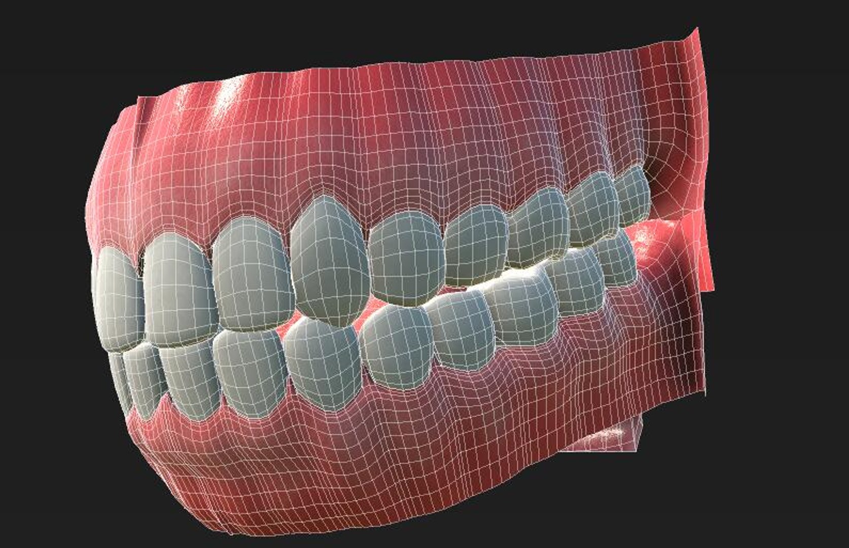 Oral Cavity 3D Model - TurboSquid 1512365