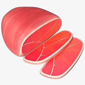 Cartoon Ham Meat 3D model
