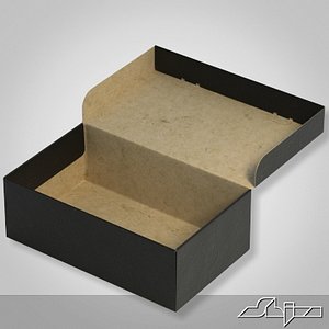3d model carton box close