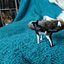 Peeing  dog Border Collie 3d printable