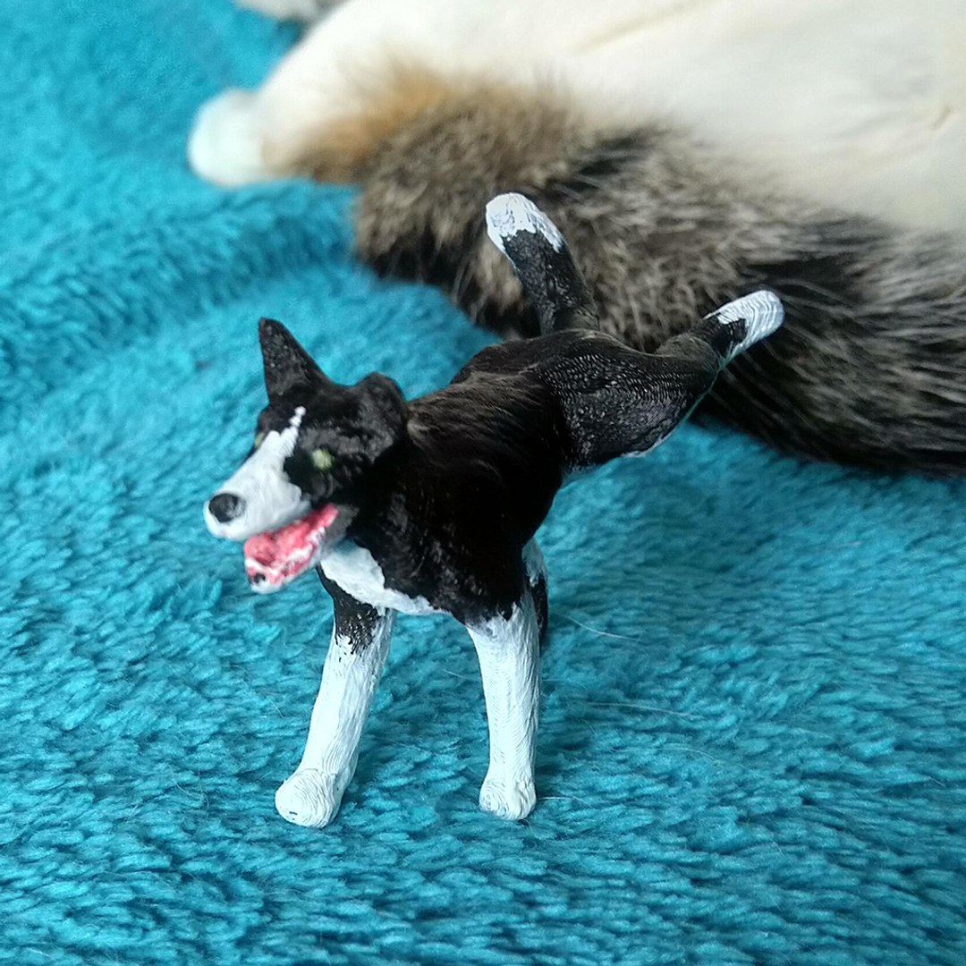 3D Peeing  dog Border Collie 3d printable https://p.turbosquid.com/ts-thumb/Hm/8vYDMl/US/peeingdog_04/jpg/1671566273/1920x1080/fit_q87/83a2bf785379aafe8e7ffa692e982f9f837b2e0a/peeingdog_04.jpg