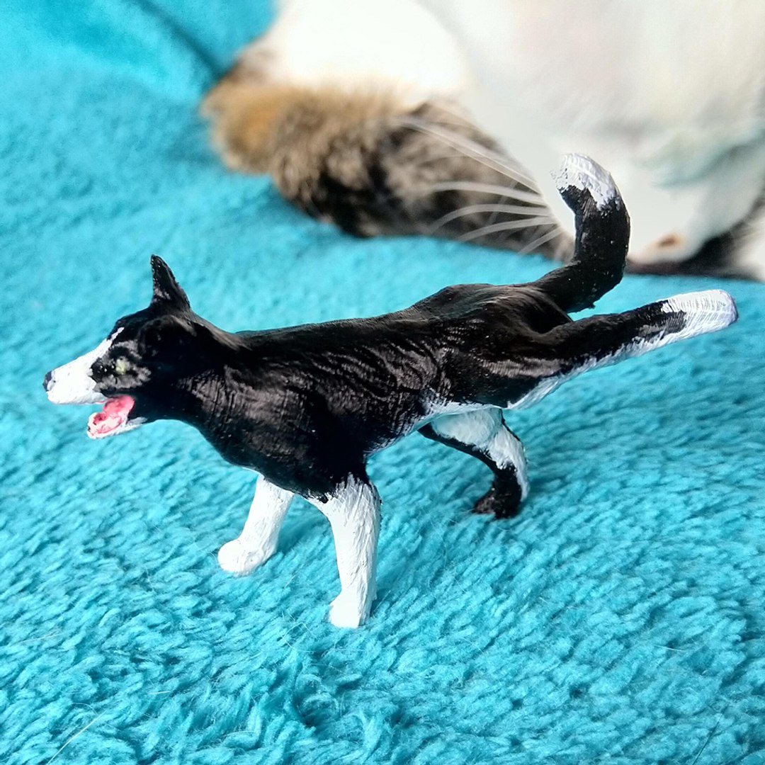 3D Peeing  dog Border Collie 3d printable https://p.turbosquid.com/ts-thumb/Hm/8vYDMl/cl/peeingdog_05/jpg/1671566273/1920x1080/fit_q87/9b284deff0a14512784dfbaffc3acda02f8c4b31/peeingdog_05.jpg