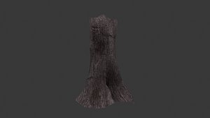 Tree trunk