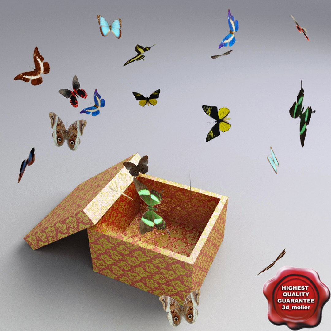 3d Butterfly Box