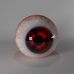 Globe ocular