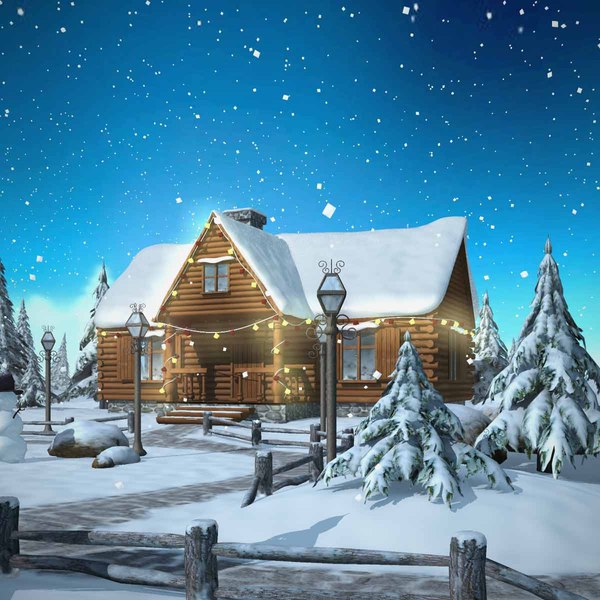 Winter Christmas Snow