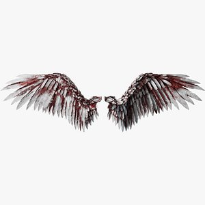 Angel Wings