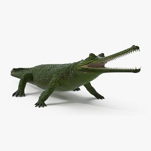 Indian Gharial Crocodile Green Rigged for Maya