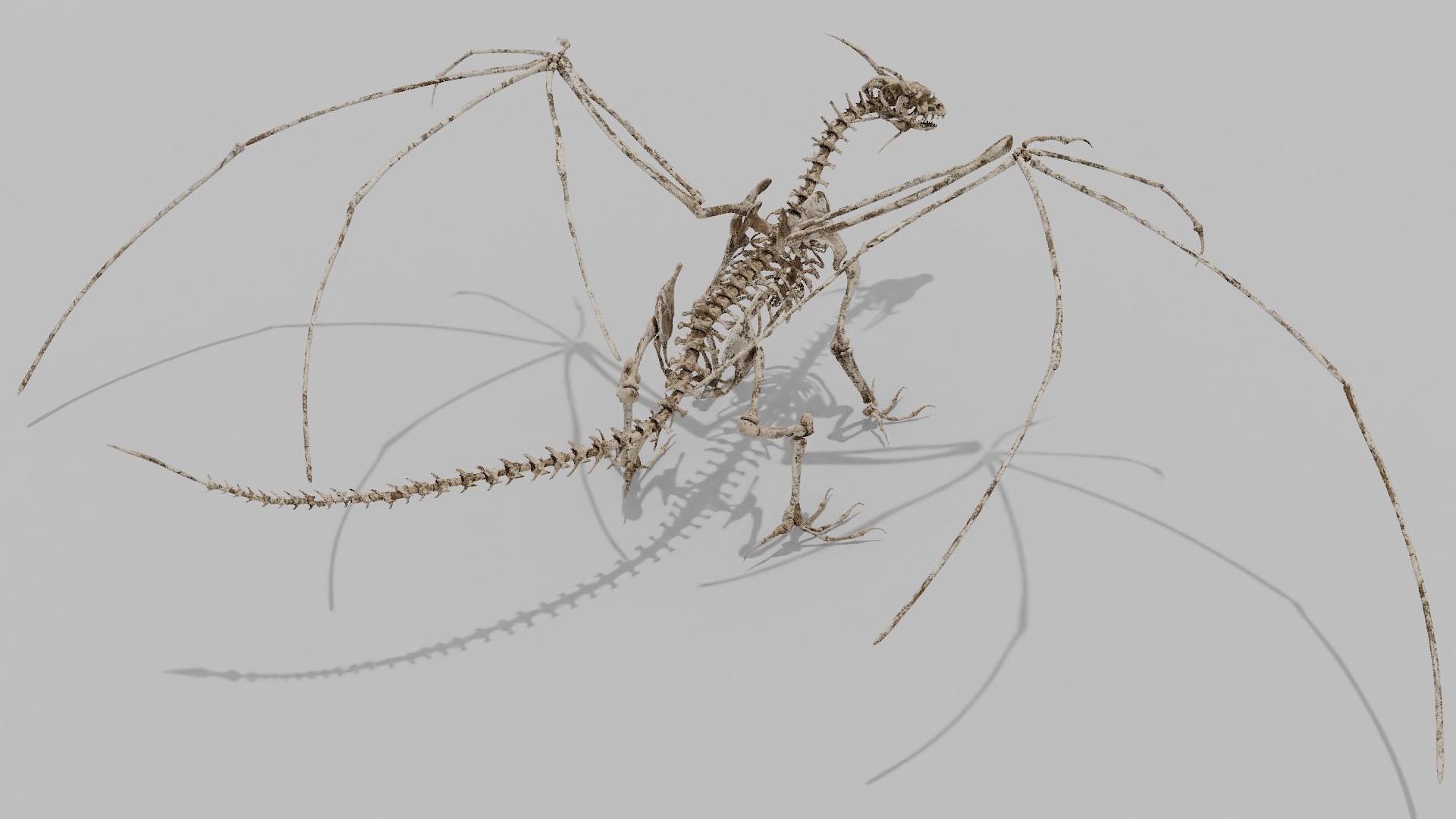 3D bone dragon https://p.turbosquid.com/ts-thumb/Hn/0ZQ03F/TXjCEwQq/3/png/1572363689/1920x1080/fit_q87/c420256b2134a766da341bc5b91ab9e796b72a5d/3.jpg