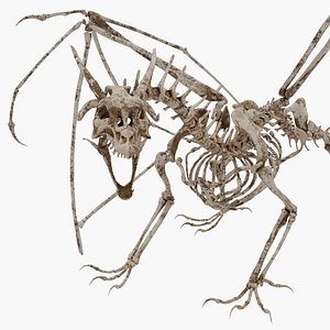 Bone Dragon