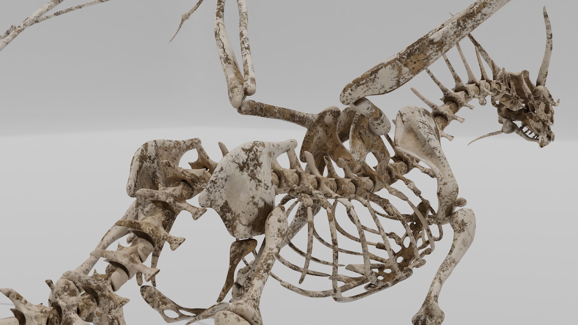 3D bone dragon https://p.turbosquid.com/ts-thumb/Hn/0ZQ03F/knImKvoD/10/png/1572363689/1920x1080/fit_q87/096c053e0cc9c00131681b5ff9190c9c3447cb1c/10.jpg