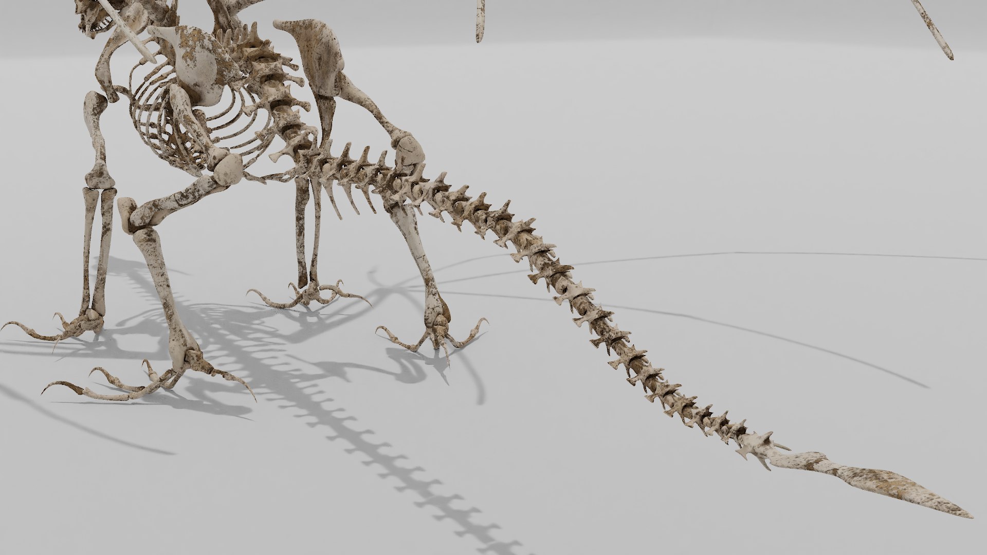 3D bone dragon https://p.turbosquid.com/ts-thumb/Hn/0ZQ03F/yNmJiikb/5/png/1572363689/1920x1080/fit_q87/c2d633031c140b47f29d5387cb466c771a116395/5.jpg