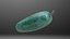 Pepino