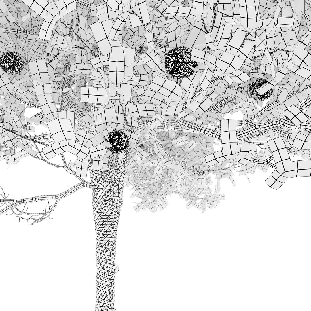 Orange Tree 3D Model - TurboSquid 2044059