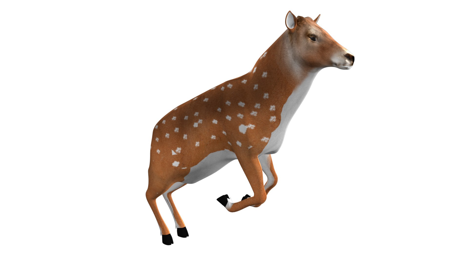 rigged deer animations model https://p.turbosquid.com/ts-thumb/Hn/YemAQs/2jTJPBRs/5/jpg/1549712593/1920x1080/fit_q87/9bcaf6c796d4147402a1887b530292337ed3b700/5.jpg